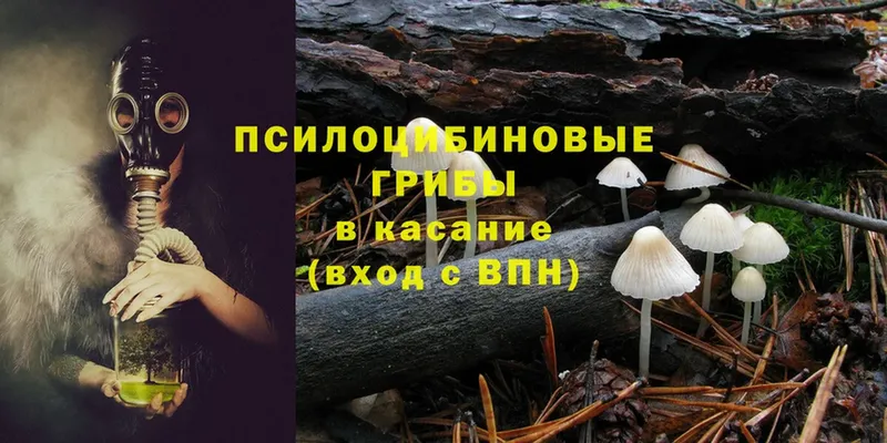 Галлюциногенные грибы Magic Shrooms  Подпорожье 